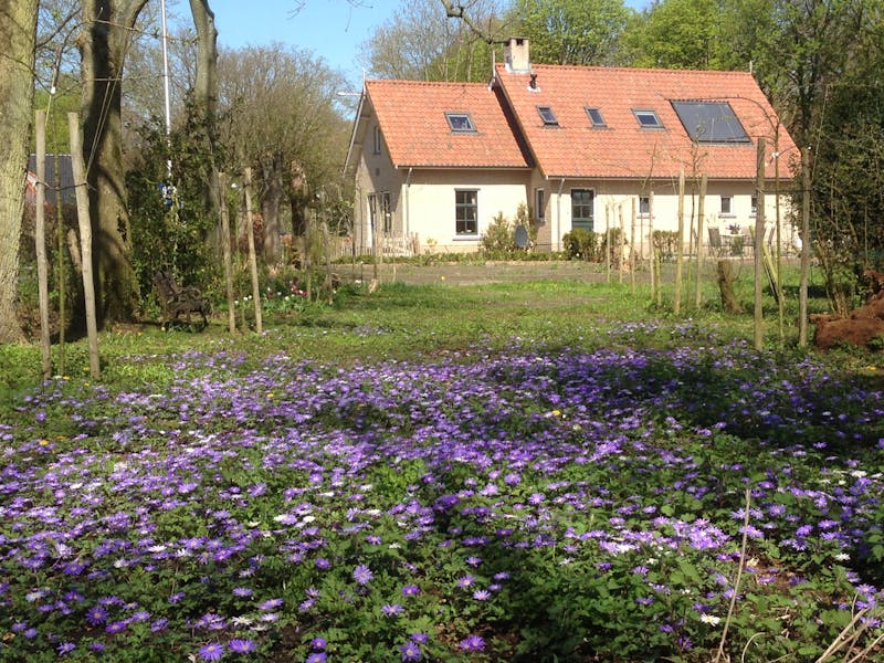 Heveringseweg, Oostvoorne 1
