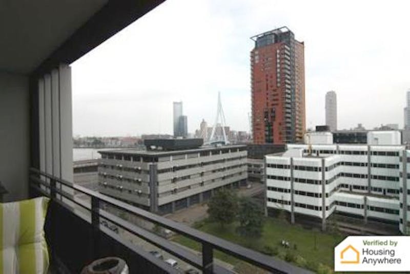 Gedempte Zalmhaven, Rotterdam 5