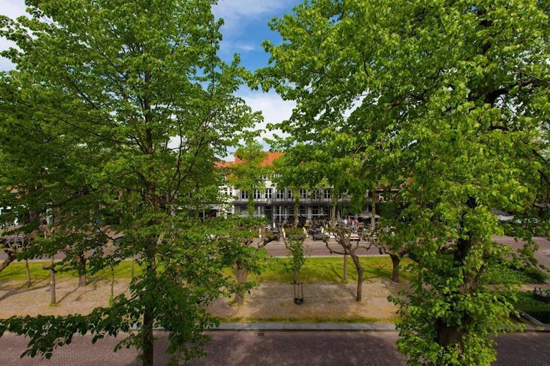 De Lind, Oisterwijk 4