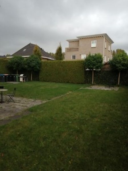 Bingerden, Lelystad 8
