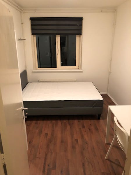 Werengouw, Amsterdam