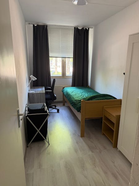 Roomtuintjes, Amsterdam