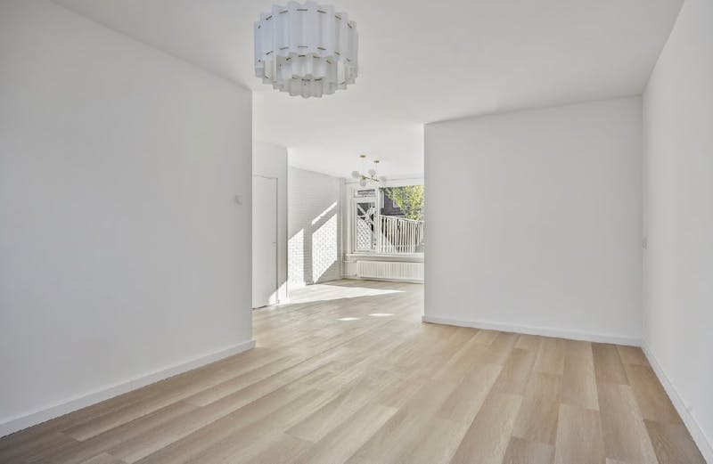 Dennekruid, Rotterdam 1