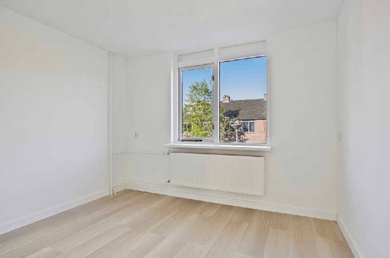 Dennekruid, Rotterdam 7
