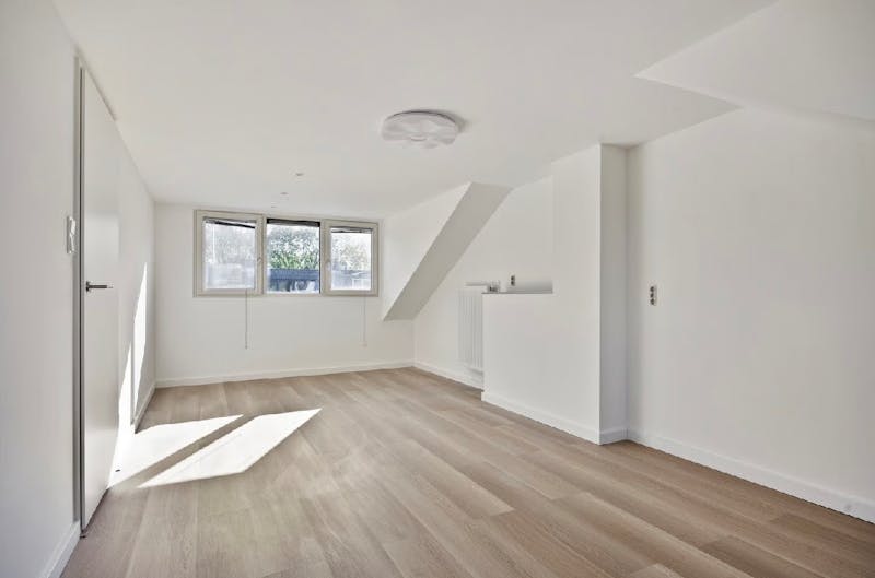 Dennekruid, Rotterdam 8