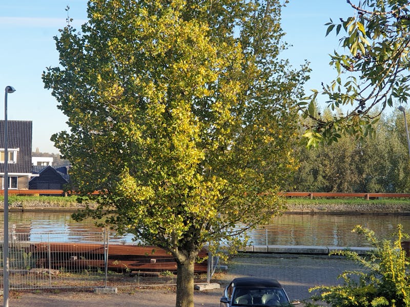 Noordkade, Waddinxveen 7