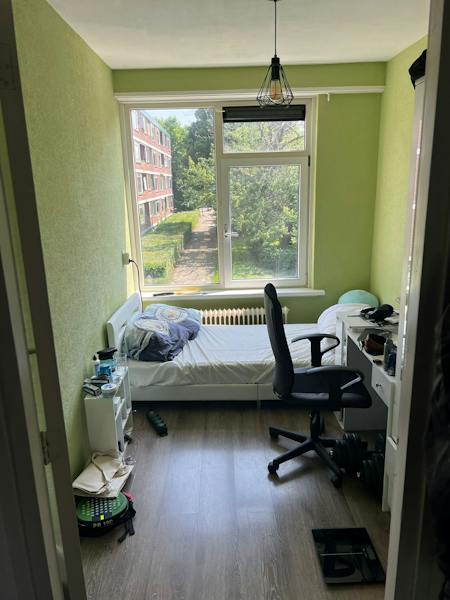 Ruigoord, Rotterdam 1