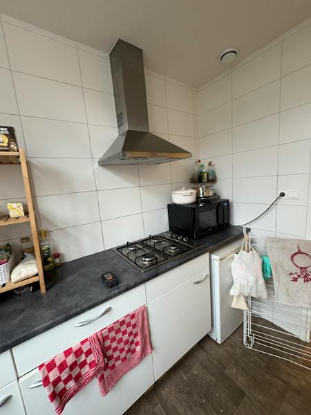Fahrenheitstraat, The Hague 6