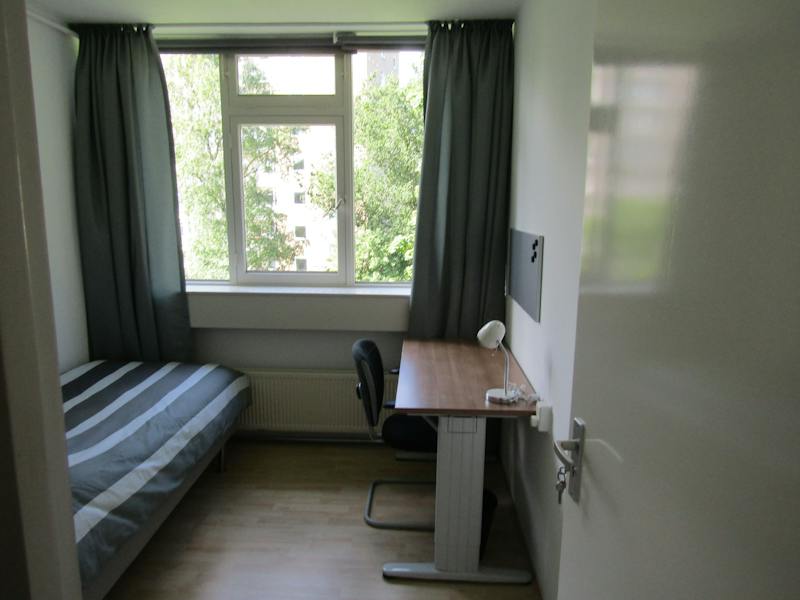 Van der Lelijstraat, Delft 1