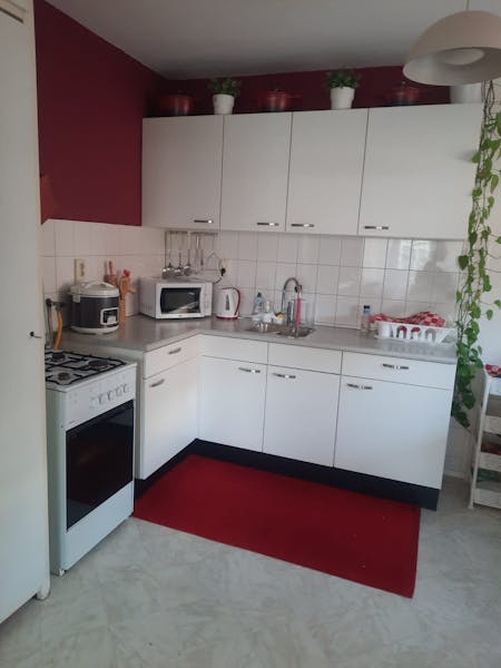 Persoonshaven, Rotterdam 4