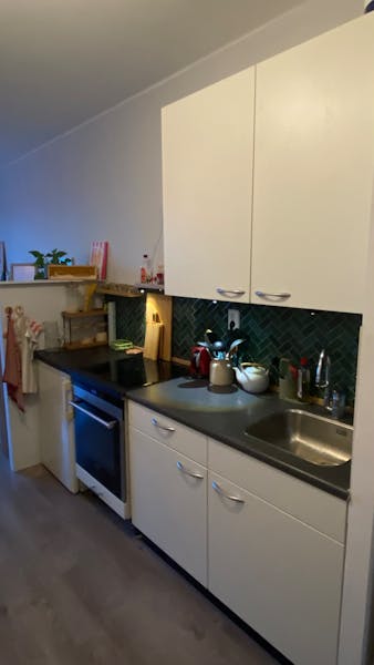 Bijdorpplantsoen, Amsterdam 7