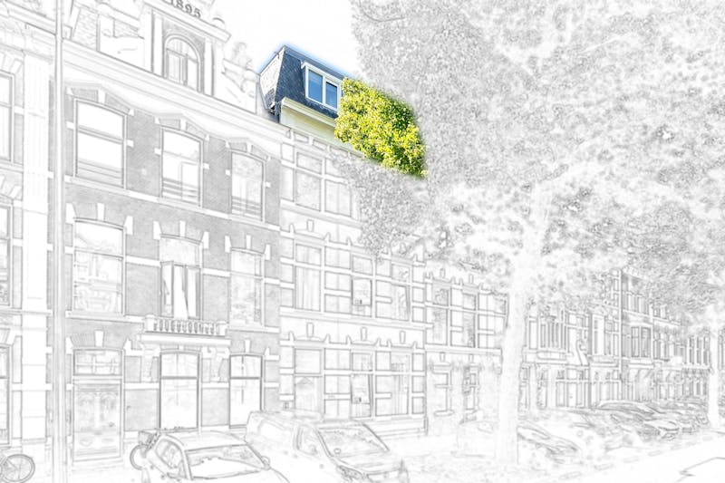 Jan van Nassaustraat, The Hague 6