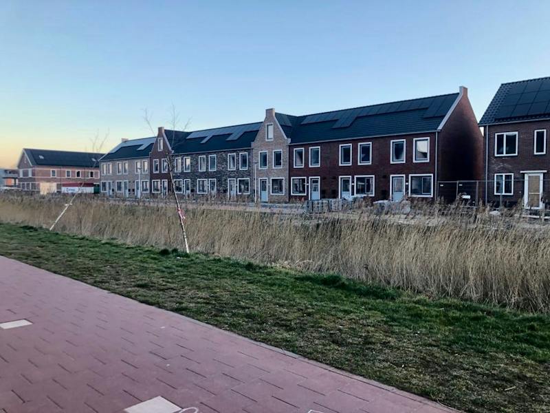 Winterkoning, Uithoorn 1