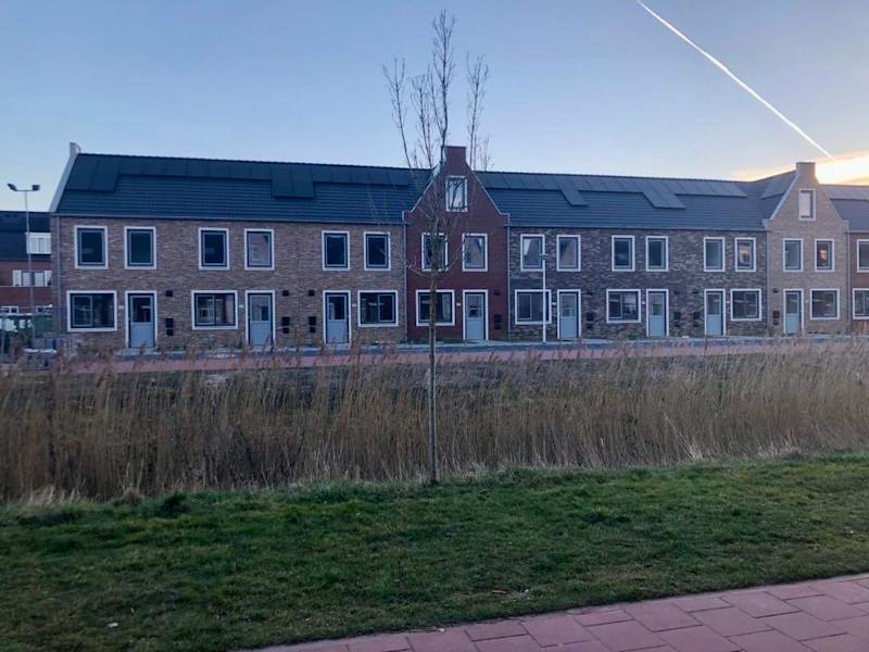Winterkoning, Uithoorn 2