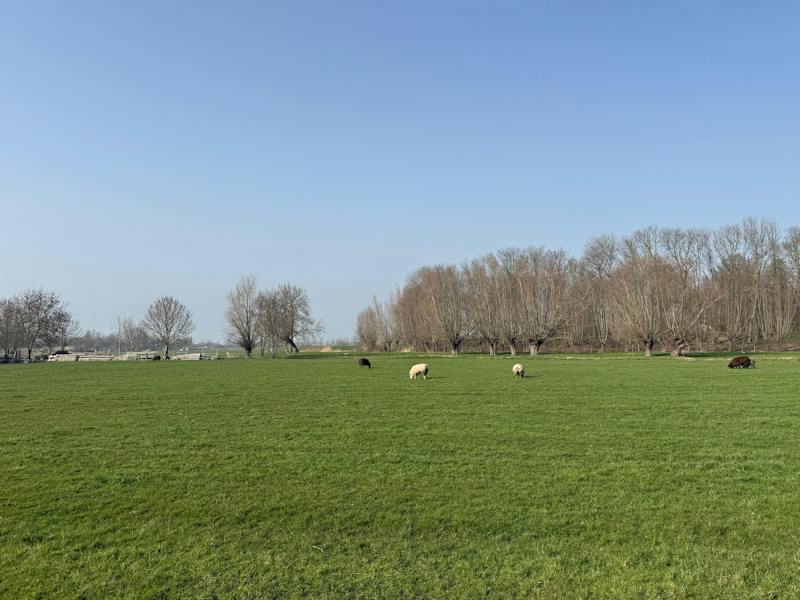 Winkeldijk, Abcoude 4