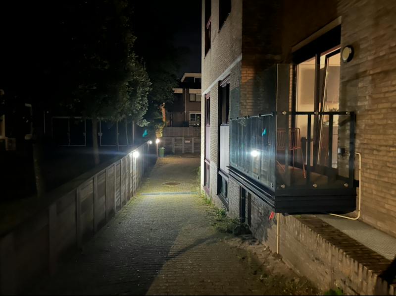Eisenhowerlaan, The Hague 4