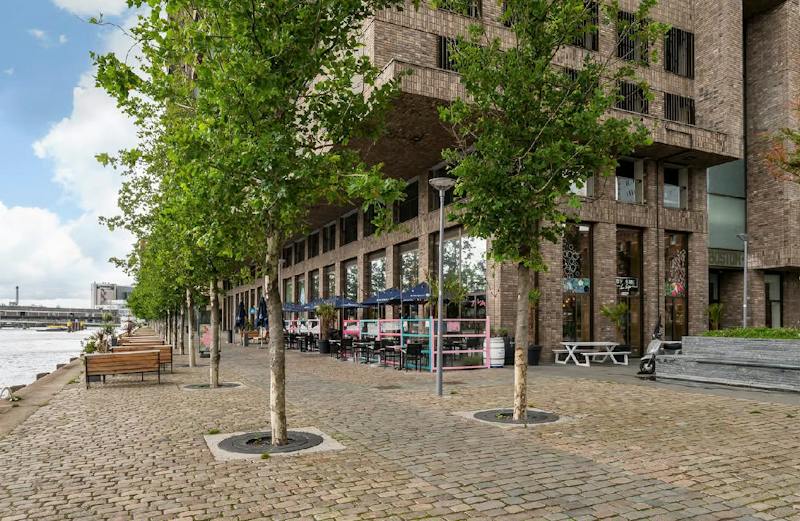 De Monchyplein, Rotterdam 6