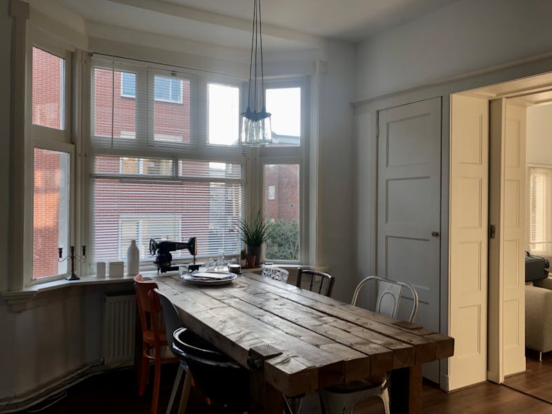 Kastanjestraat, The Hague 2