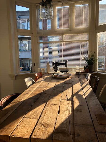 Kastanjestraat, The Hague 6